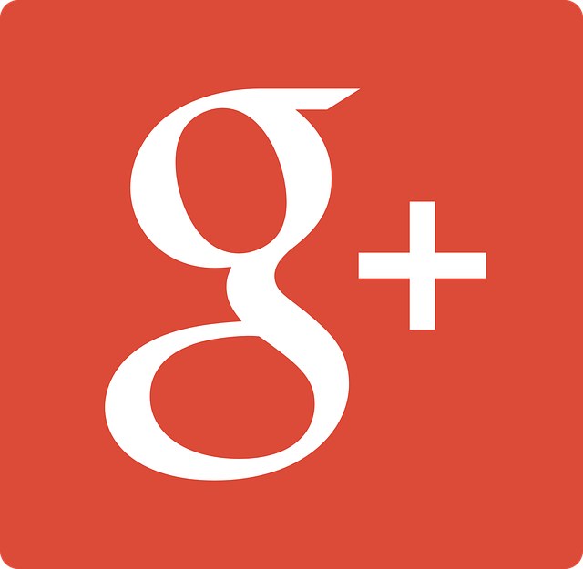 Google Plus Icon